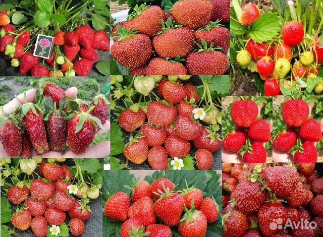 Открытка помню скучаю 5