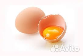 Продам куриные яйца купить на Зозу.ру - фотография № 4