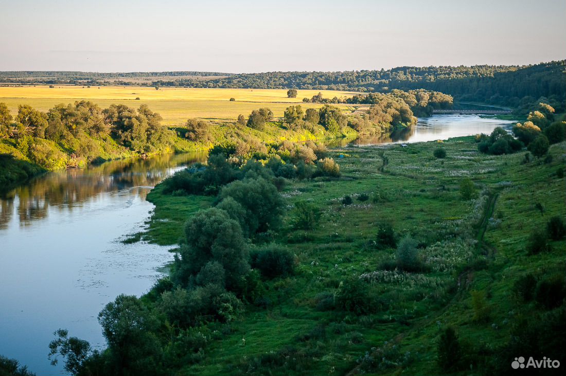 Фото Тульской Области