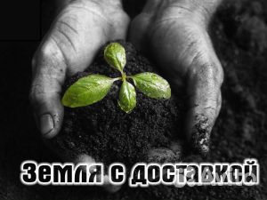 Земля плодородная купить на Зозу.ру - фотография № 4