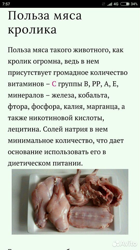 Продам мясо кролика купить на Зозу.ру - фотография № 3