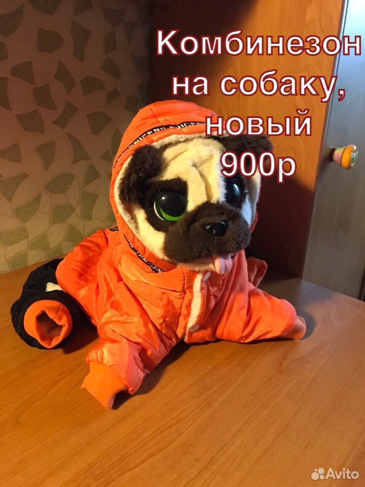 Одежда для собак купить на Зозу.ру - фотография № 1