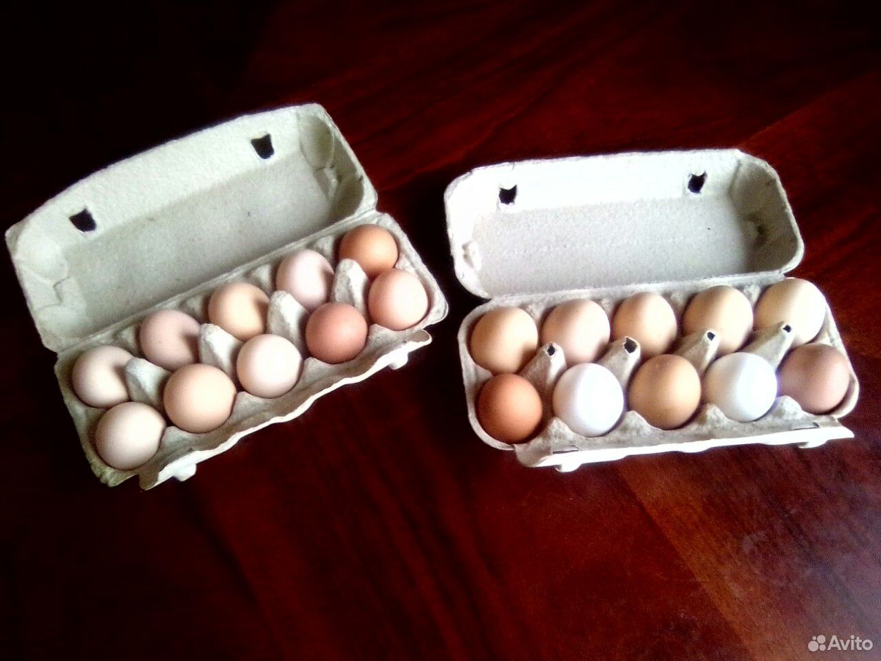 Куриные яйца купить на Зозу.ру - фотография № 3