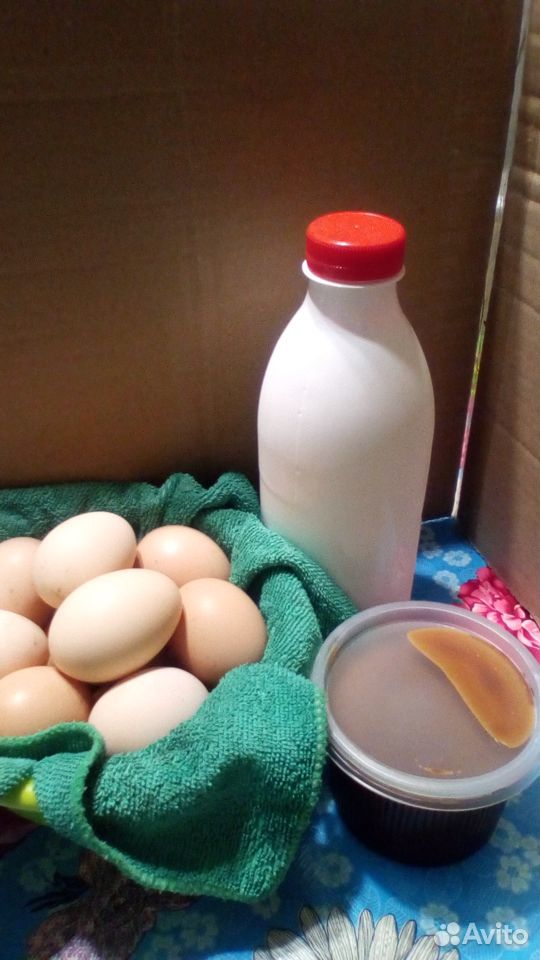 Козье молоко,сыр, яйца купить на Зозу.ру - фотография № 1