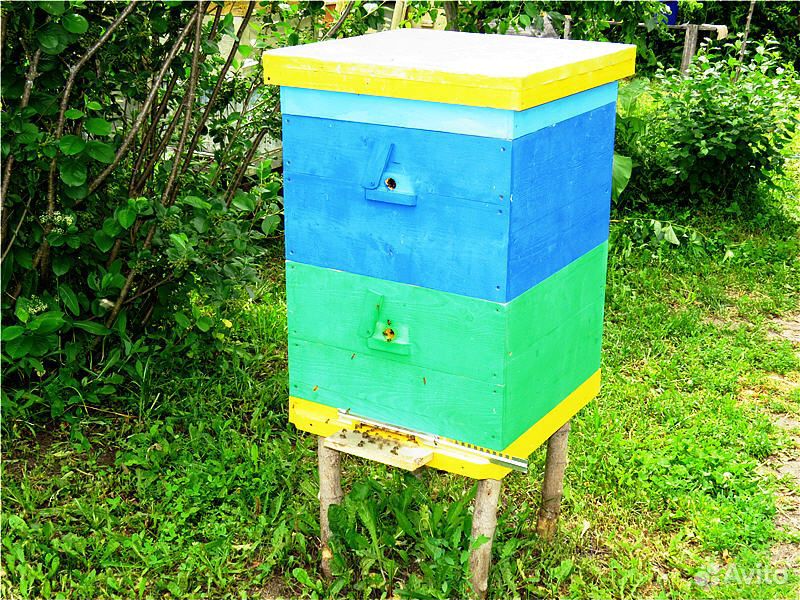 Пчёлосемьи купить на Зозу.ру - фотография № 2