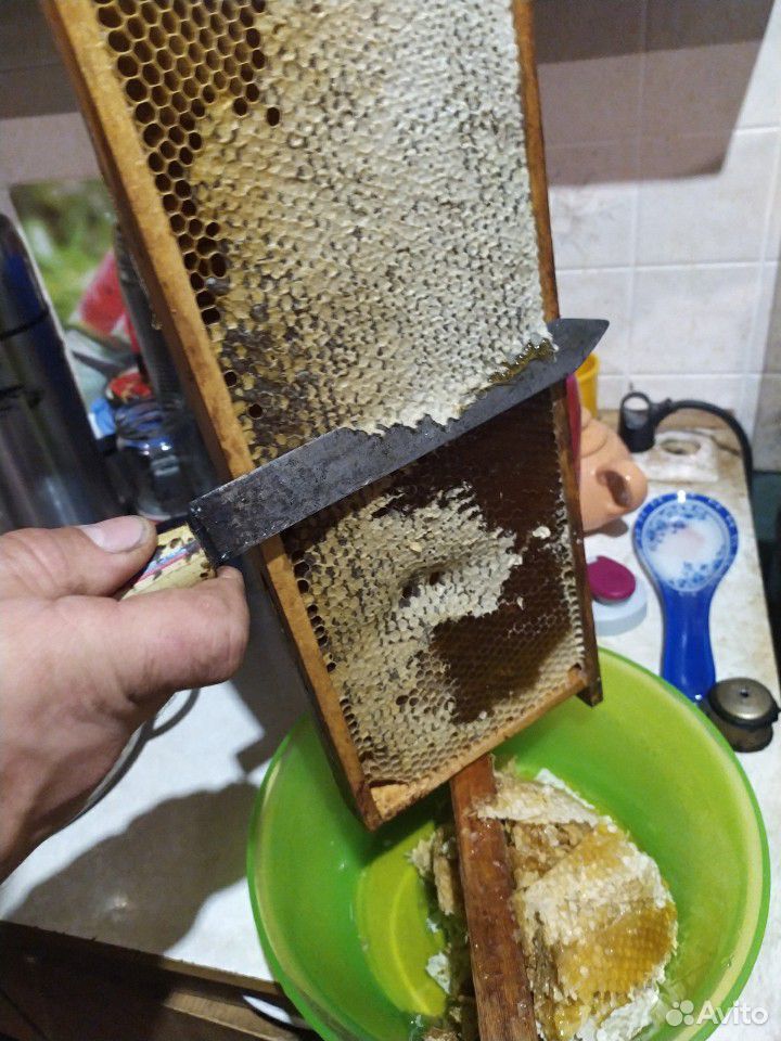 Мед с собственной пасеки купить на Зозу.ру - фотография № 2