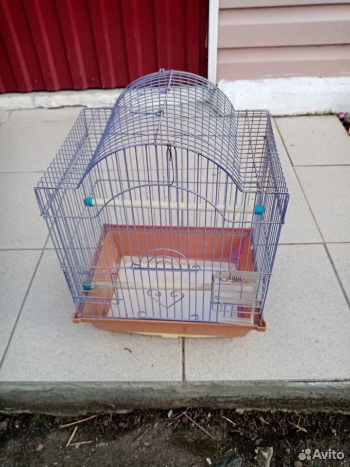 Клетка для попугаев отдам за 450 на неделе купить на Зозу.ру - фотография № 2