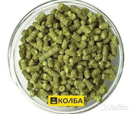 Хмель пивоваренный Магнум купить на Зозу.ру - фотография № 1