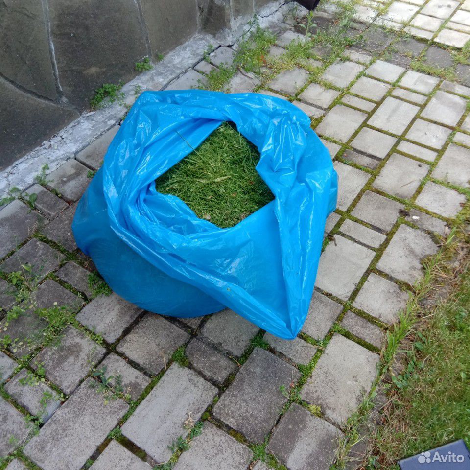 Свежескошенная трава купить на Зозу.ру - фотография № 2