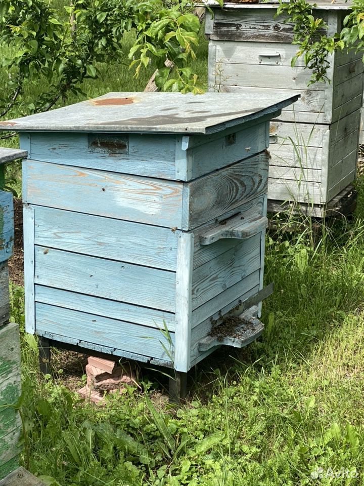 Пчёлы с ульями 12 и 7 рамок 3 Шт купить на Зозу.ру - фотография № 5