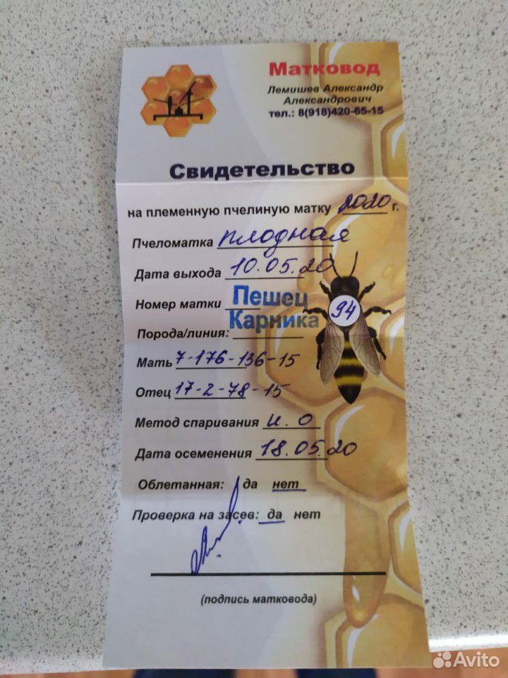 Пчелы матки купить на Зозу.ру - фотография № 3