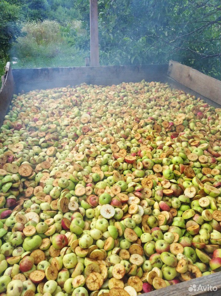 Яблоки сушоные купить на Зозу.ру - фотография № 2