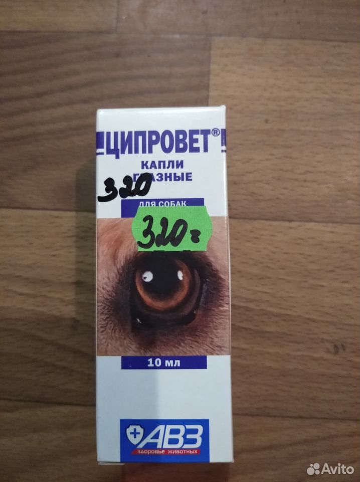 Капли глазные для собак и кошек Ципровет купить на Зозу.ру - фотография № 5