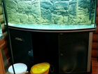 Панорамный аквариум 400л с тумбой Aquatlantis объявление продам