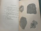Книга Ученые записки Юрьевского университета 1904г объявление продам