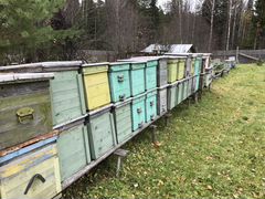 Продам ульи для пчёл и пчелосемьи
