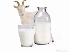 Продаем молоко и творог чешских коз