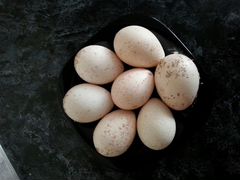 Яйца индюшиные