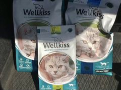 Корм для стерилизованных кошек wellkiss