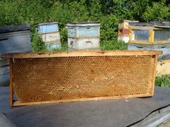 Рамки для пчёл магазинные с сушью
