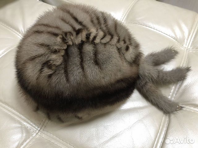 Шапка норка