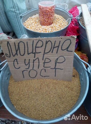 Семена многолетних и однолетних трав