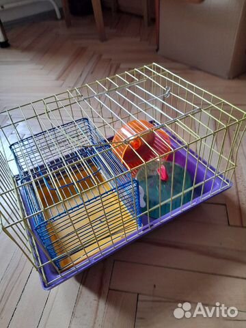 Переноска для грызунов