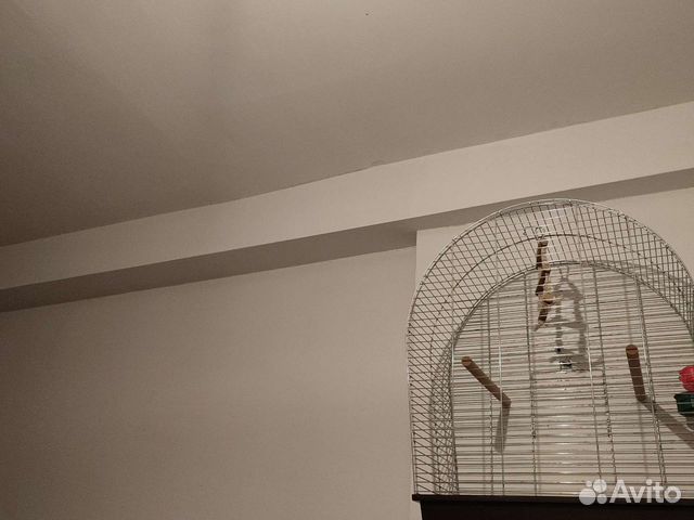 Клетка для крупного попугая