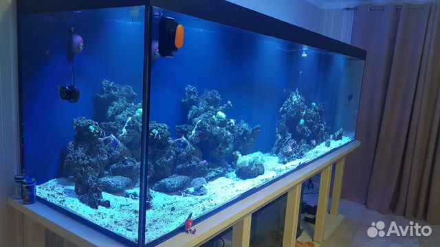 Изготовление и ремонт аквариумов