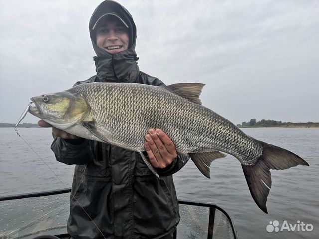 Рыбалка с гидом круглый год, прогулки на катере