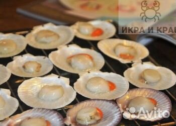 Гребешок приморский на полустворке раковины