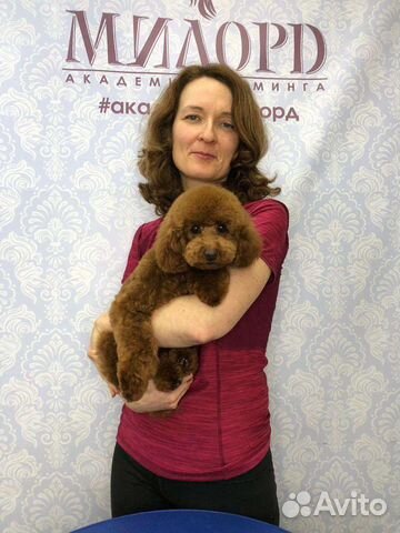 Тримминг, стрижка, чистка зубов ультразвуком