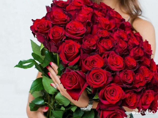 Розы высокие 150 см 160 см 170 см