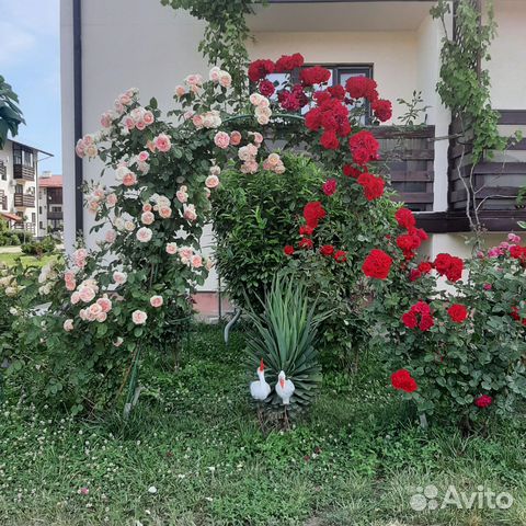 

Квартира-студия, 27 м², 2 кровати