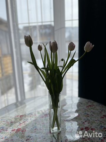 

1-к. дом, 27 м²