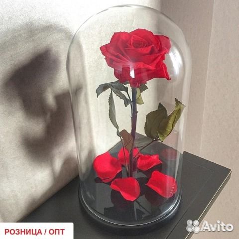 Розы в колбе Розы в колбе