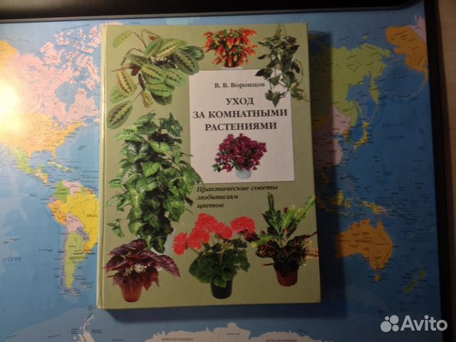 Книга Книга