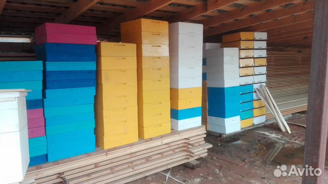 Пчеломатки пчелы Санкт-Петербург купить на Зозу.ру - фотография № 1
