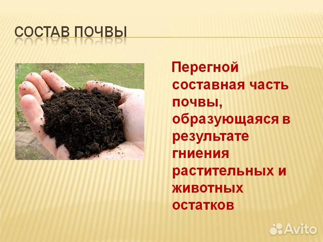 Что Такое Почва Фото