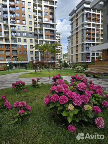 

Квартира-студия, 24 м², 2 кровати