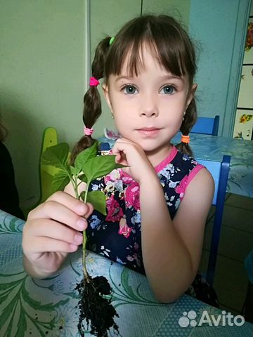 Детский ясли-сад. не В квартире Детский ясли-сад. не В квартире