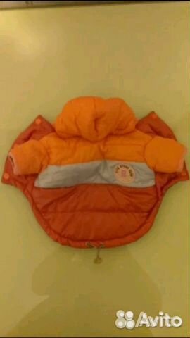 Одежда для собак