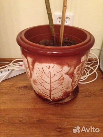 Напольный горшок кашпо