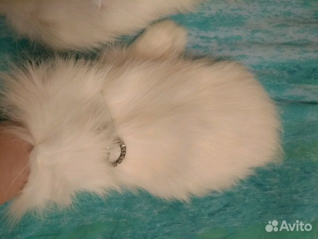 Варежки нат. мех (песец), нат. кожа Варежки нат. мех (песец), нат. кожа