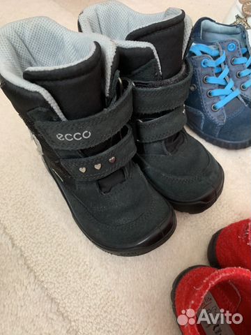 Красотки ecco, le coq sportif