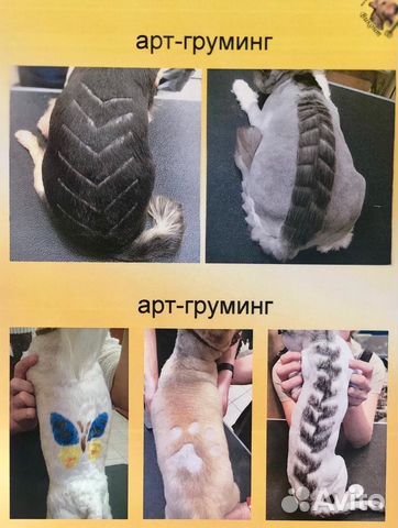 Стрижка собак и кошек