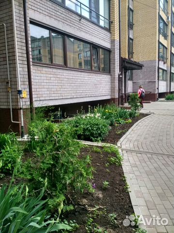 1-к квартира, 41 м², 5/7 эт. 1-к квартира, 41 м², 5/7 эт.