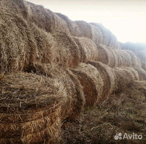 Продается сено в рулонах купить на Зозу.ру - фотография № 1