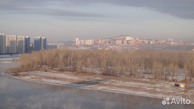 Обувь для собак Обувь для собак