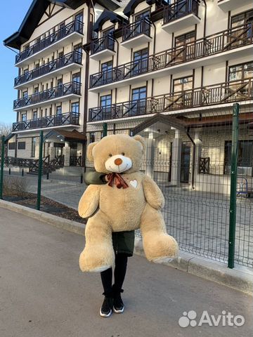 Плюшевый медведь